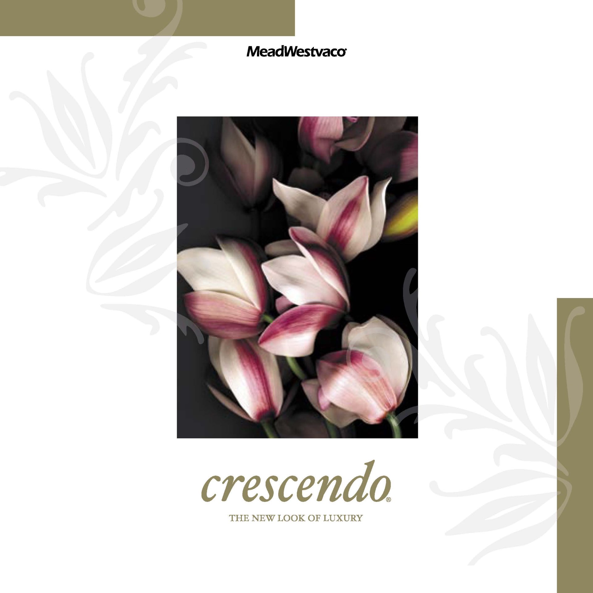 Crescendo — The New Look of Luxury